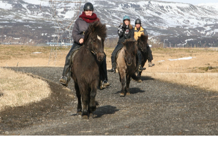 Riding Holiday Northern Lights